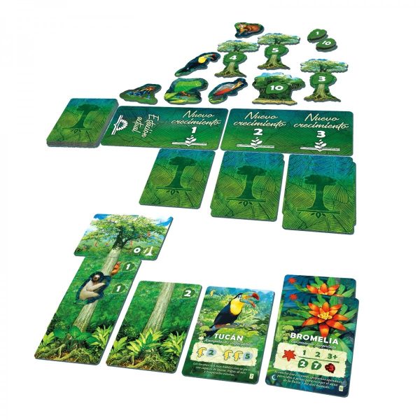 AMAZONIA - Image 2