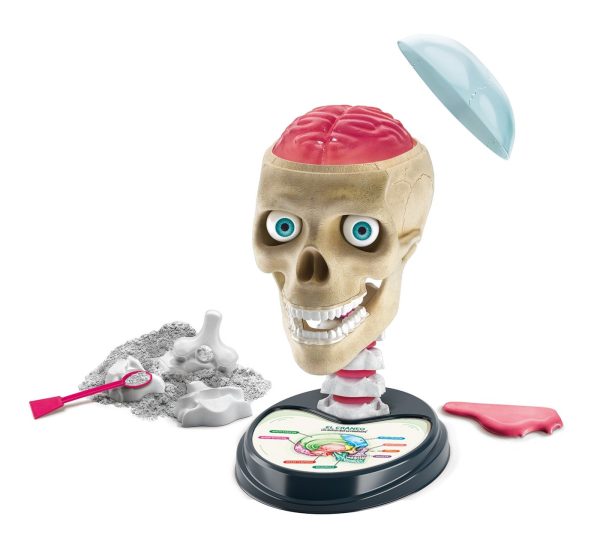 ANATOMIA... FUERA DE CABEZA - Image 2