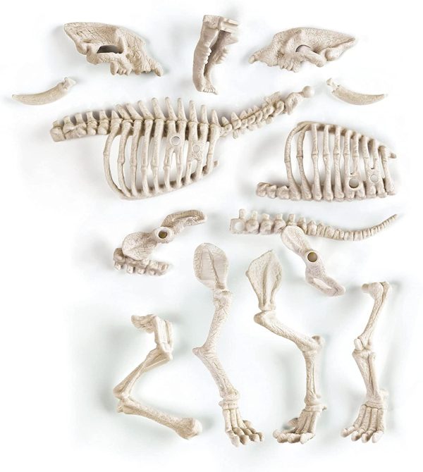 ARQUEOJUGANDO SMILODON FLUORESCENTE - Image 6