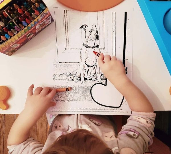 CRAYOLA PETS - 64 CERAS y Crayola Cámera App - Image 7