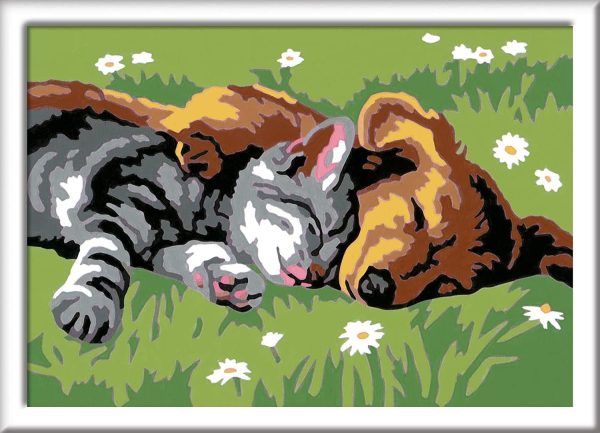 CREART GATO Y PERRO - Image 2