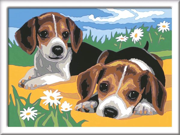 CREART SERIE D - CACHORROS JACK RUSSELL - Image 2