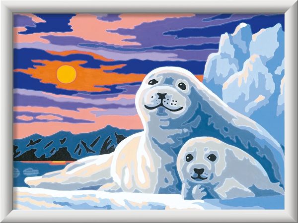 CREART SERIE D CLASSIC FOCAS SOBRE EL HIELO - Image 2