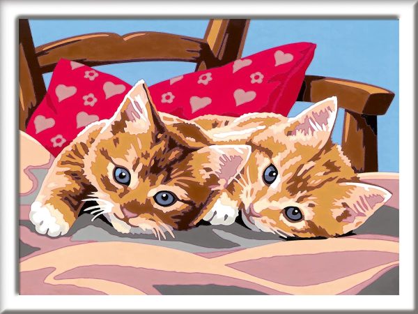 CREART SERIE D - GATITOS EN LA ALMOHADA - Image 2
