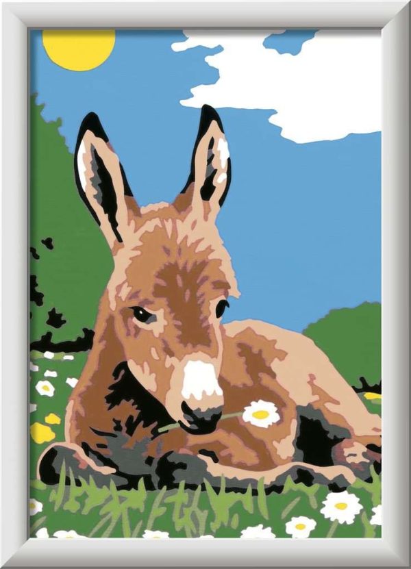 CREART SERIE E CLASSIC - BURRO - Image 2