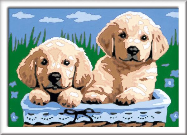 CREART SERIE E - PERROS RETRIEVER - Image 4