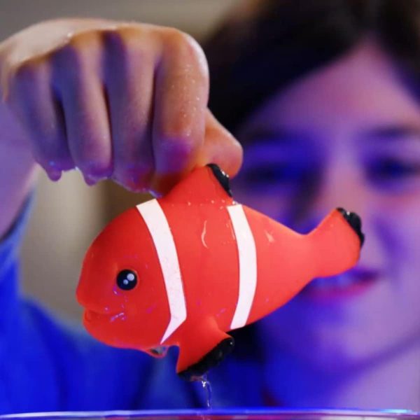 DISPLAYS 12 SOBRES JELLY PLANET - PECES Y DEPREDADORES MARINOS - Image 4