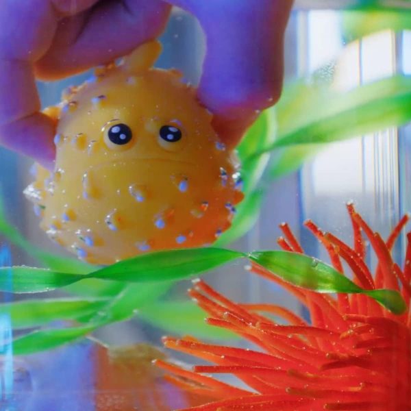 DISPLAYS 12 SOBRES JELLY PLANET - PECES Y DEPREDADORES MARINOS - Image 7