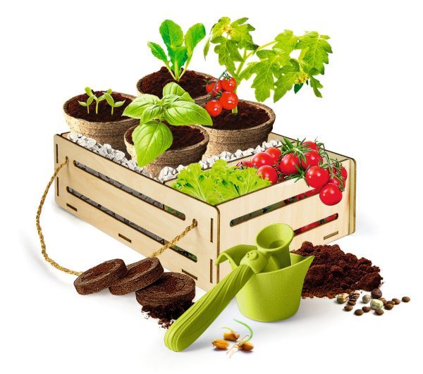 KIT DE JARDINERIA - Image 2