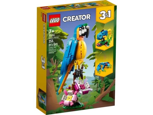 LORO EXOTICO - Image 2