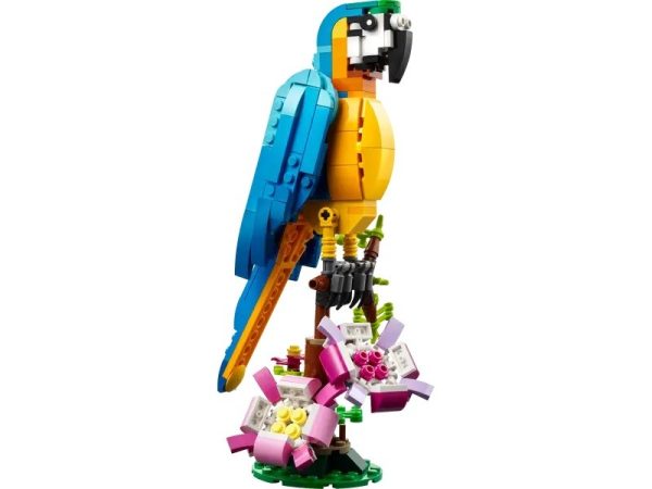LORO EXOTICO - Image 3