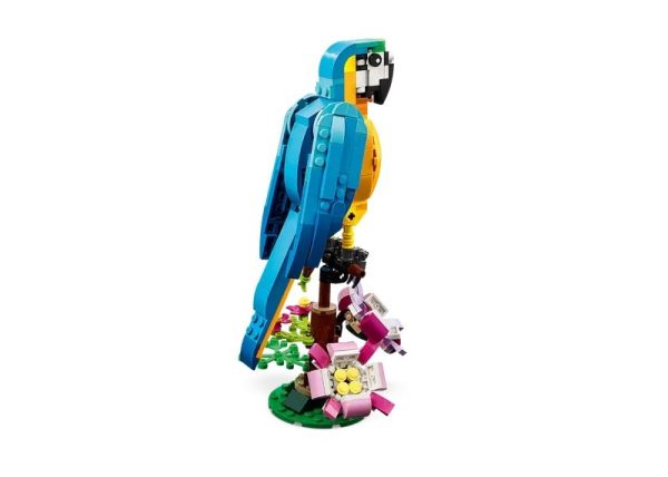 LORO EXOTICO - Image 4