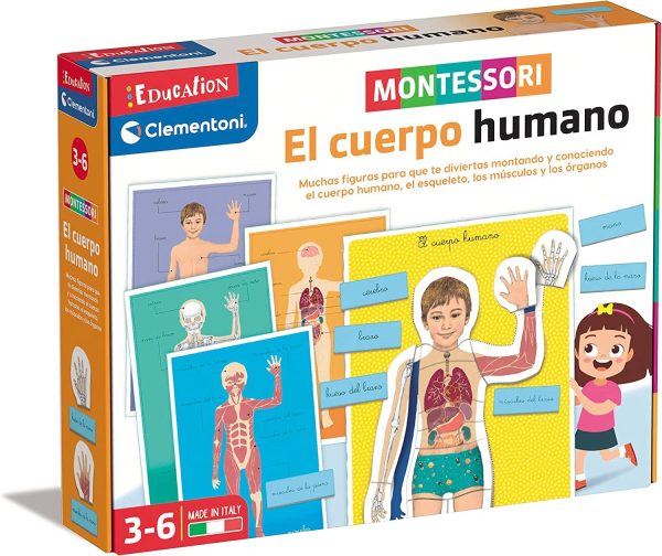 MONTESSORI EL CUERPO HUMANO